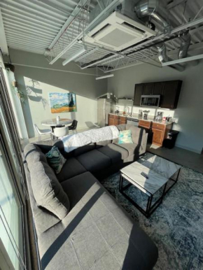 Cute Modern Loft in the heart of Parkville 202